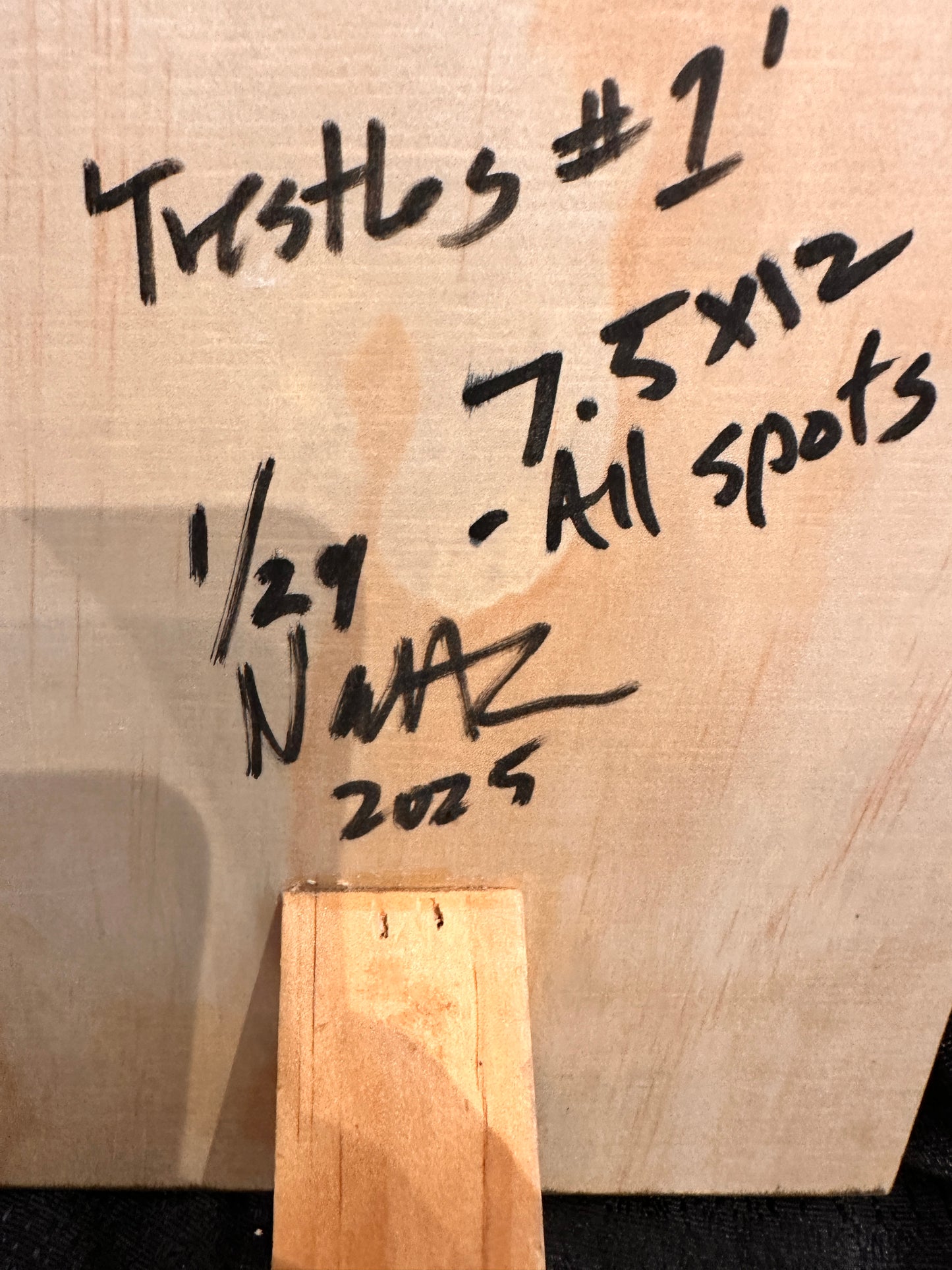 Trestles All Spots